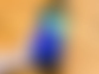 Samsung Galaxy Note 7 Shipping