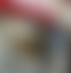 TOUR YOUR FAVORITE STORE