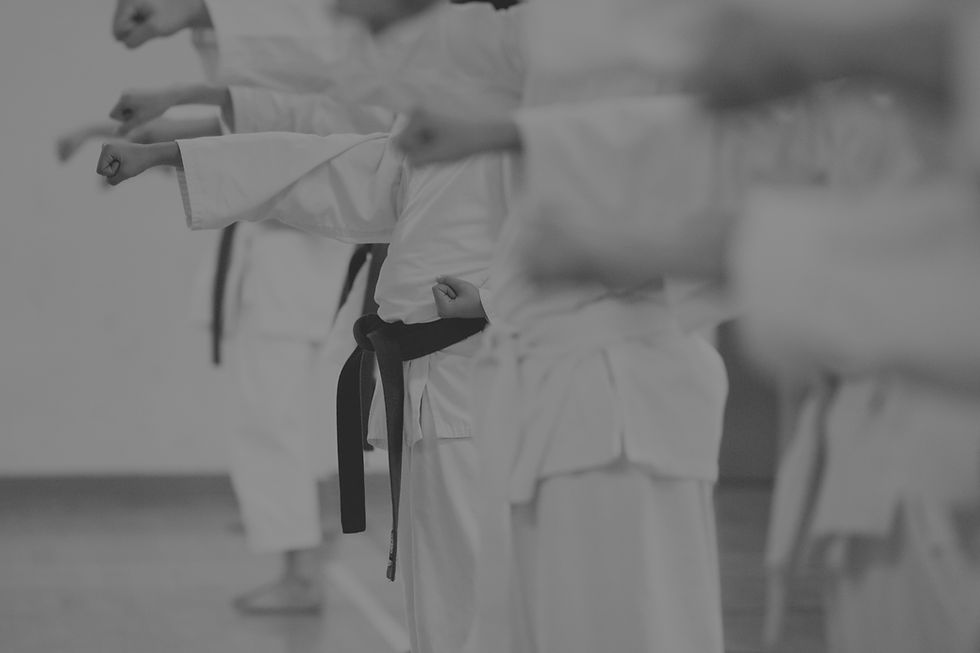 Karate Practice