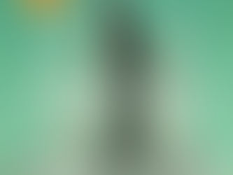 Trust by Hernán Díaz