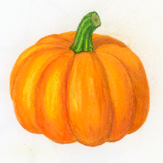 pumpkin drawing