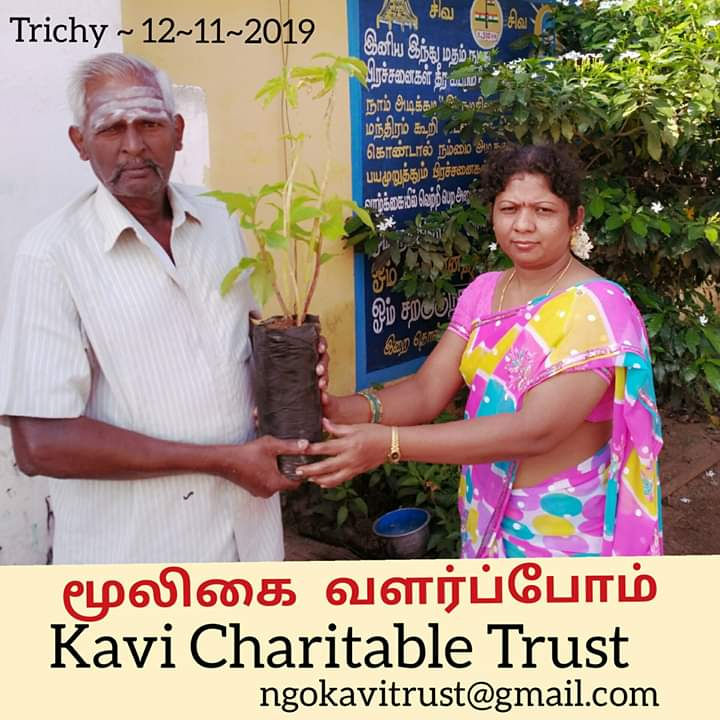 Let's grow Medicinal Plant and live Healthy Without Disease..Email: ngokavitrust@gmail.com