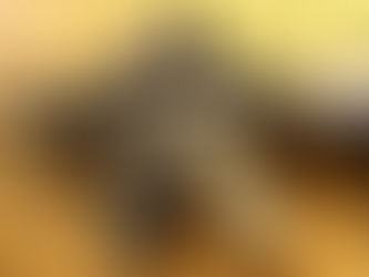 M4A1 Carbine (SOPMOD Block 1.5)