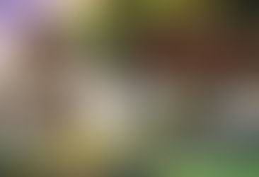 2021.07.27 Tales of Aria