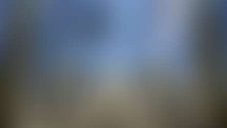 【MTG】先驅套牌介紹-純綠獻力