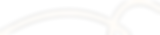 Vector 31.png