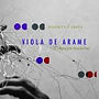 RC 2012 Viola de Arame - Composições Brasileiras.jpg