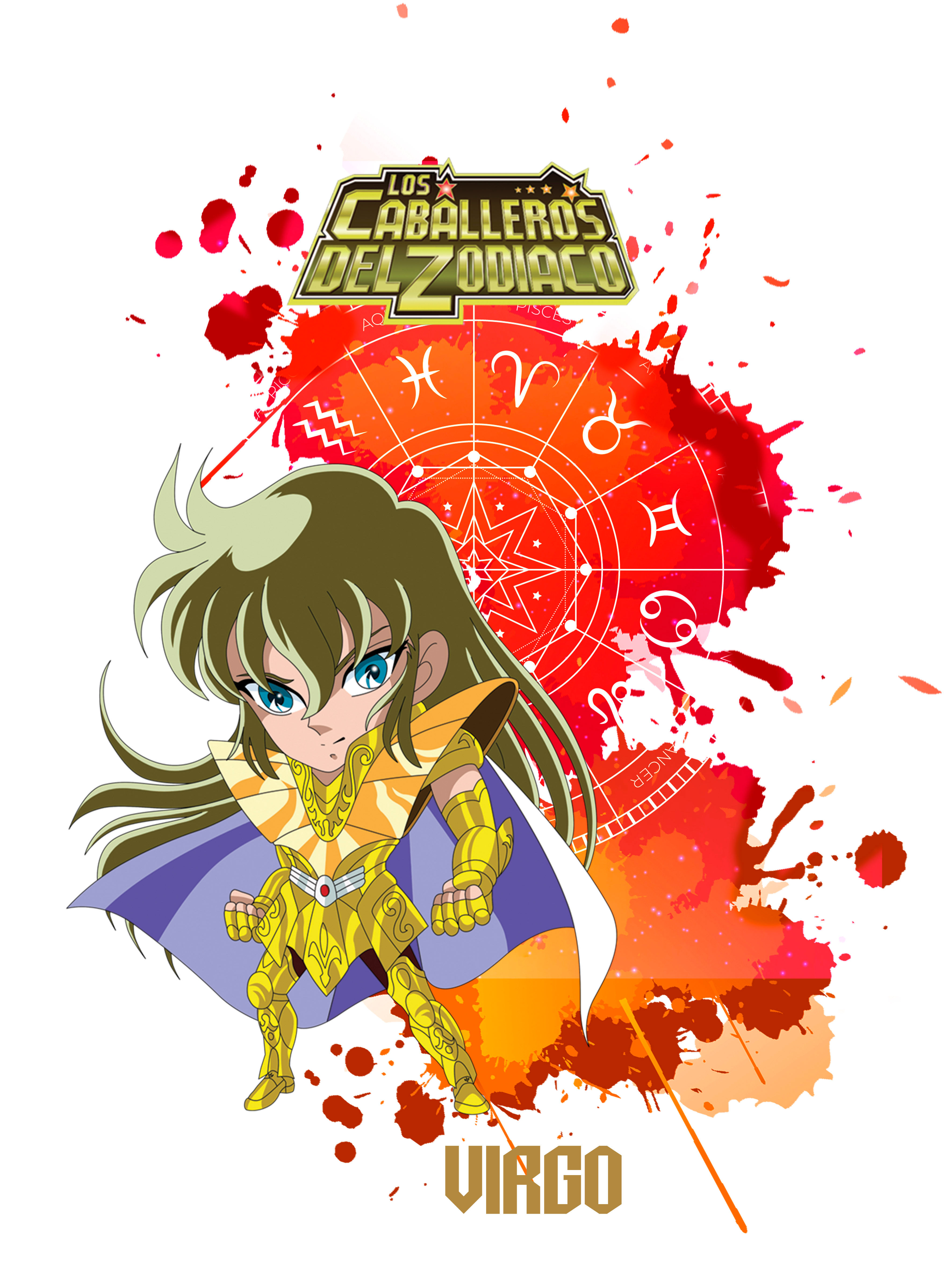 Polera o polerón estampado Virgo