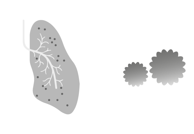 Antimicrobial.gif