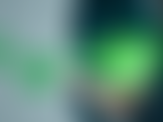 Balancing Worries of Earnings Peaking Out with Sustainable Growth