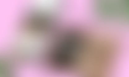 From Digital Menus to Contactless Payments