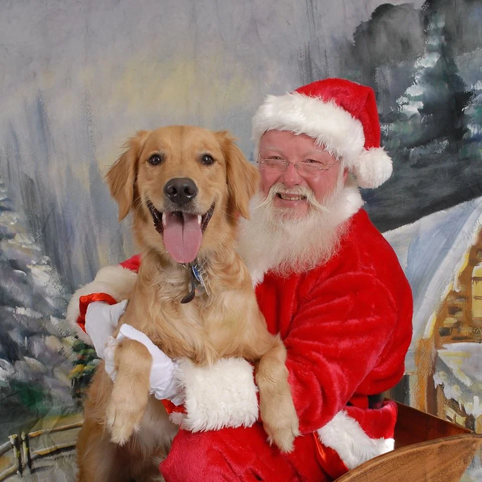 golden-retriever-santa.webp