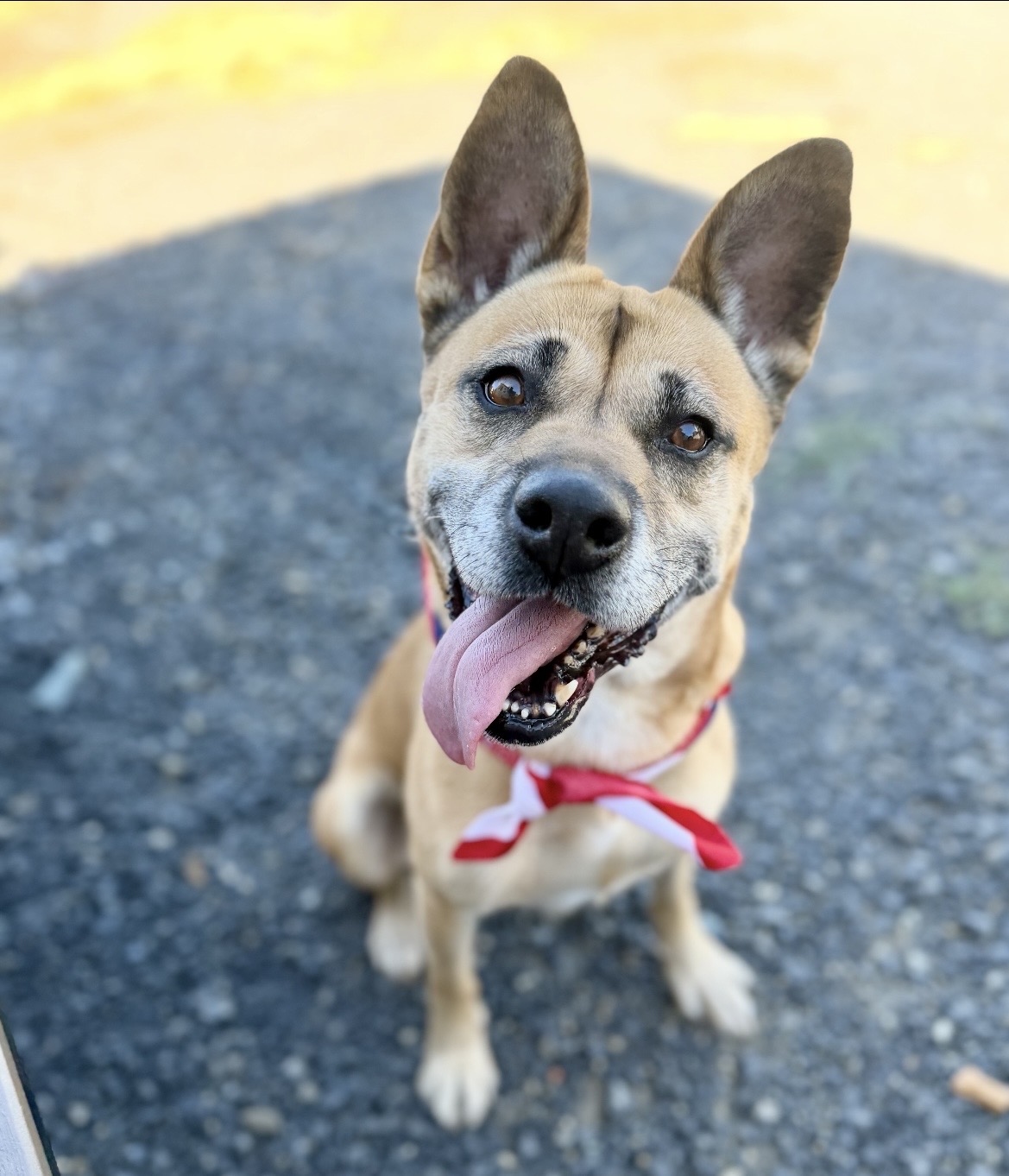 Frida