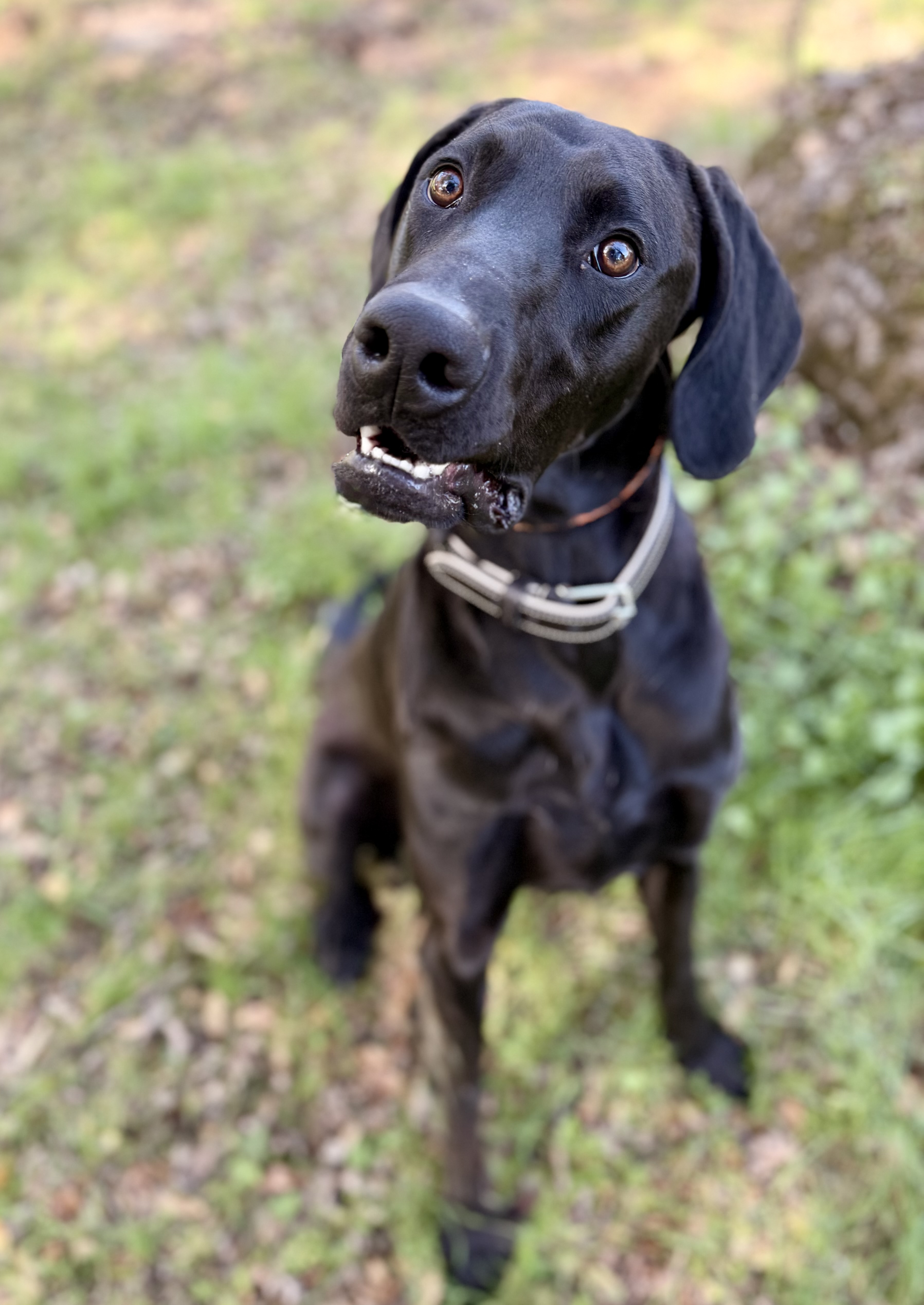 Mac