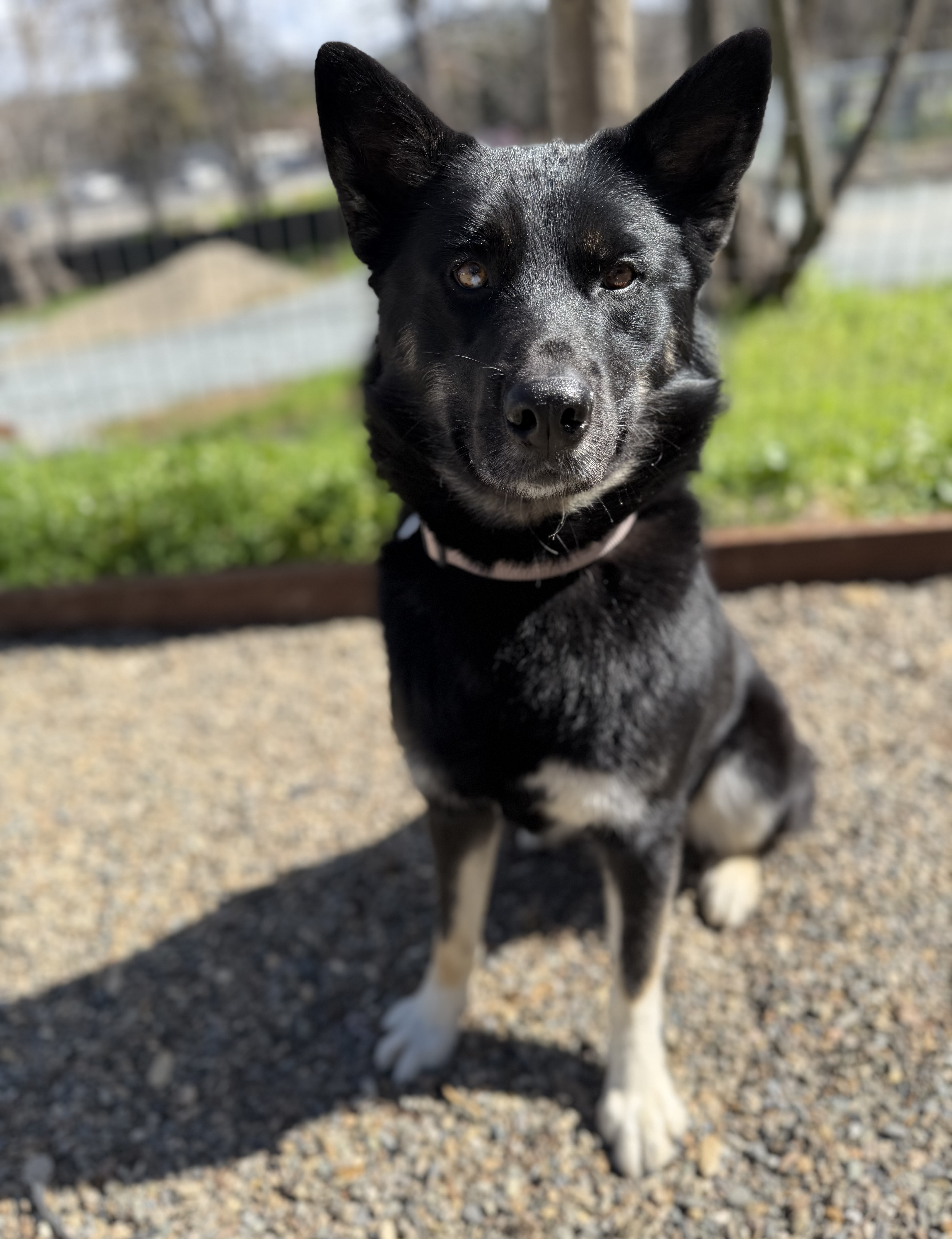 Pablo