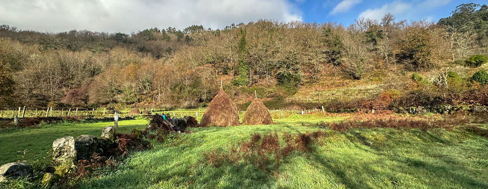Ecovia do Vez - Arcos de Valdevez - Parque Nacional Peneda Gerês