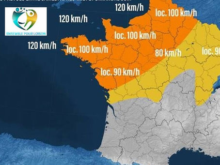 Tempête "Dennis"