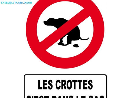 Sac déjection canine.