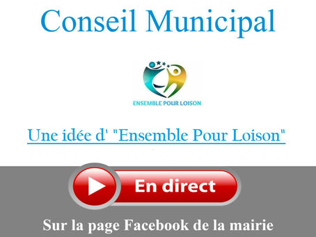 Diffusion du conseil municipal.
