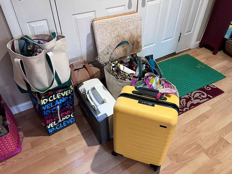 Travel Bug Adventures with a Small Yellow Suitcase