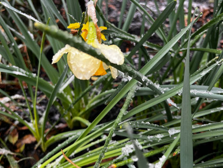 Wacky Weather for All!