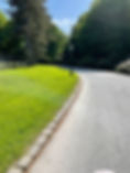 an image of a laneway on the grounds of Castle Leslie estate featuring blue skies and tall green trees
