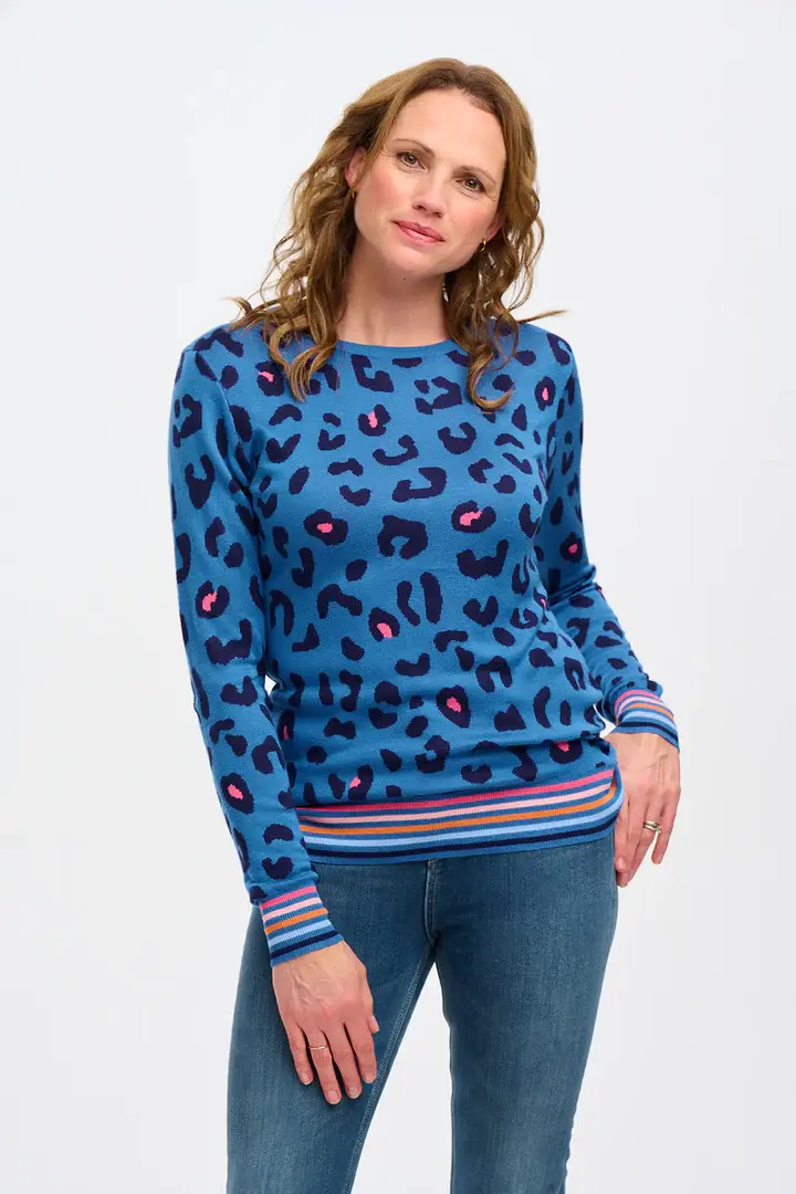 Callie Jumper - Blue, Leopard Pop Stripe