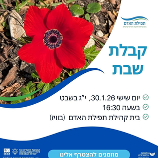 על חירות ועל אחריות