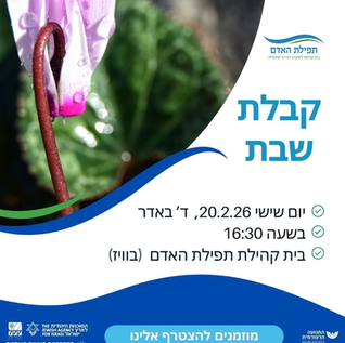 על שותפים ושותפות