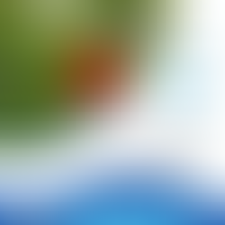 הבסיס שלא נוכל בלעדיו