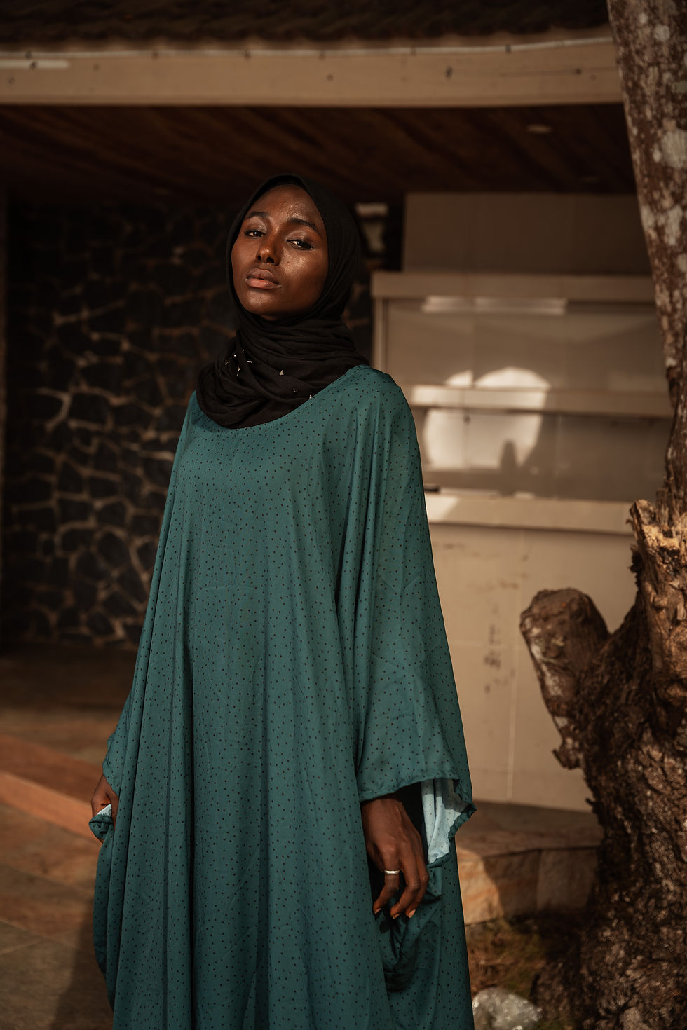 Thumbnail: The Green and Black polka dot gown