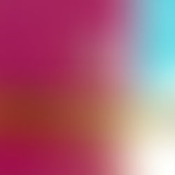 Explore Bahamas: Wine tasting at Bahama Barrels, Graycliff