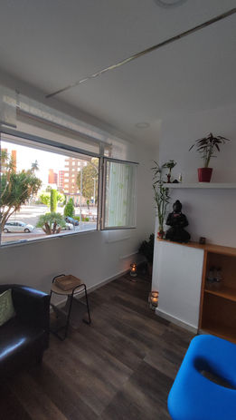 la consulta ubicada en la plaza maria agustina 5bis timbre 8