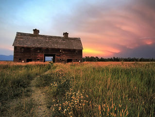 Where Does Barn Wood Siding Come From?