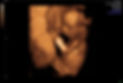 16wks_edited.jpg