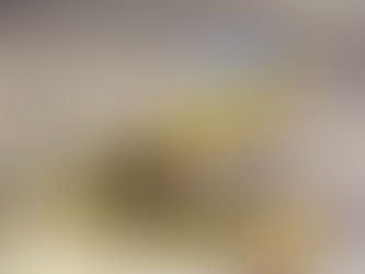 Séisme à Mexico : des robots-serpents ont participé aux recherches