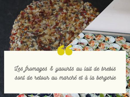 La saison fromagère a démarré