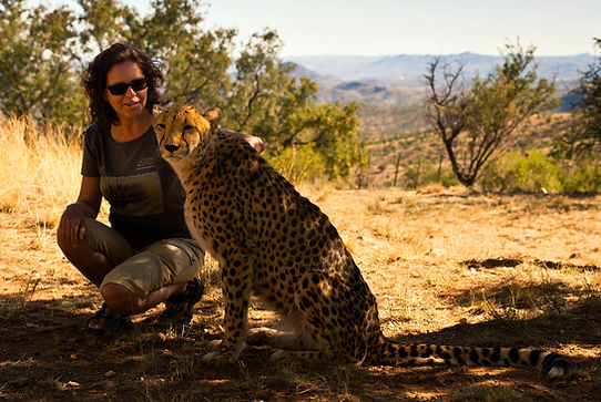 Tierkommunikation mit Wildtieren
