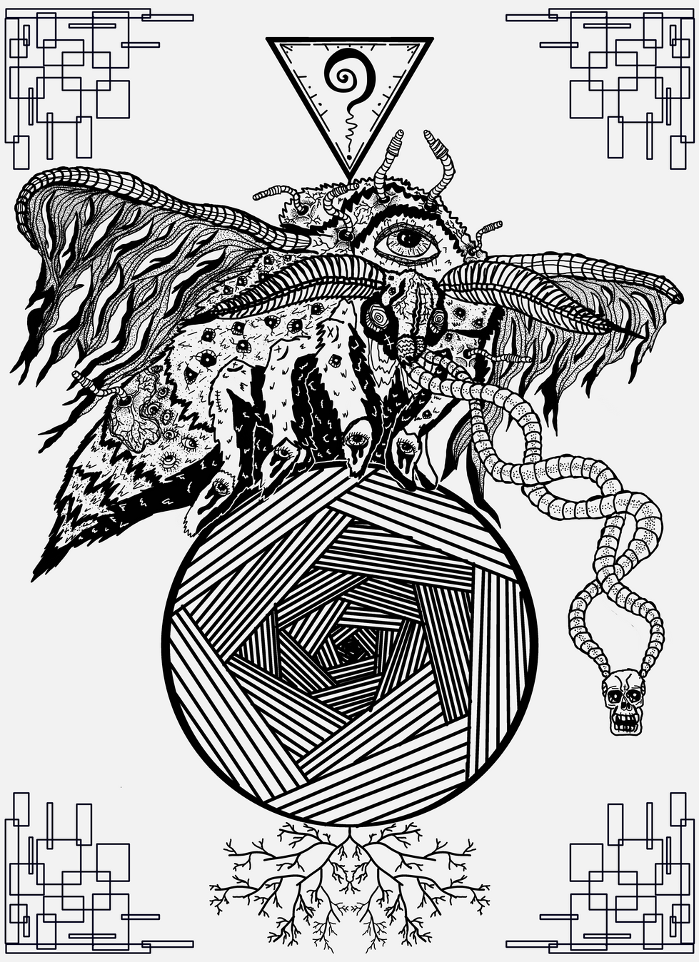 vampire moth white
