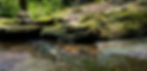 holland glen2.jpg