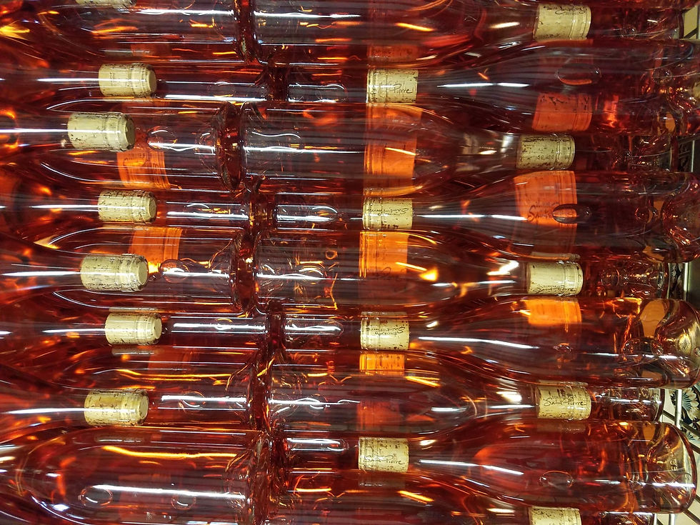 vin vacqueyras saint pierre