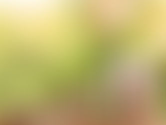 Top tips to save a larger 
home deposit
