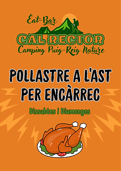 Pollastre a l'ast .png