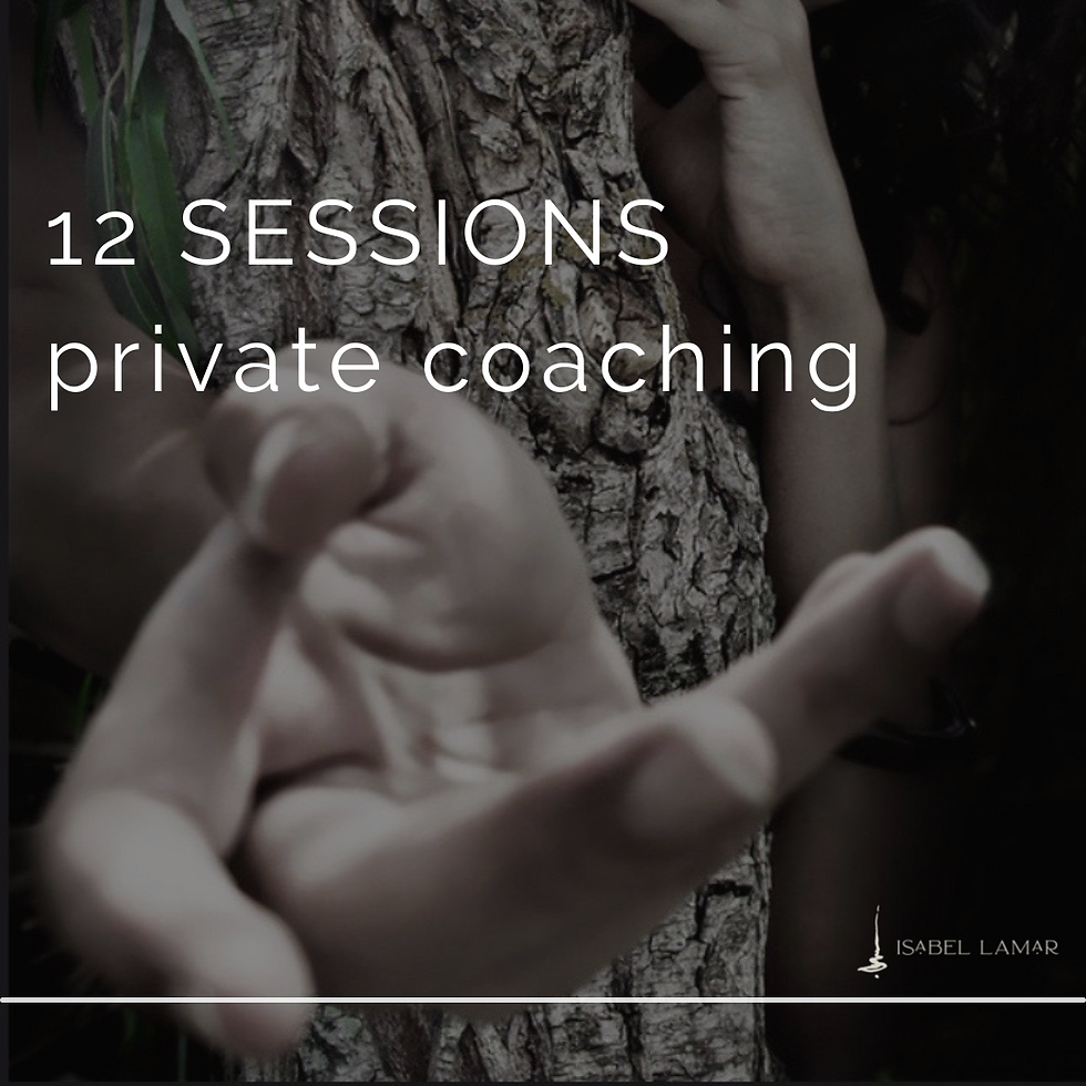 12 sessions coaching program - 3 months
