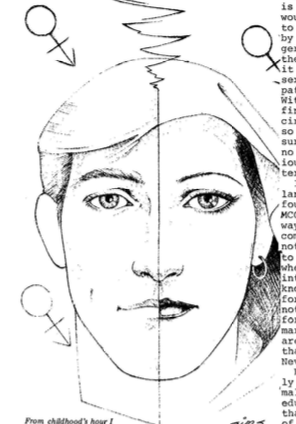 Supporting Transsexual Identity During Second-Wave Feminism: Differing Perspectives