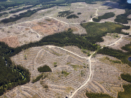EARTHCHAT: Climate change and actions in Canada and Mexico