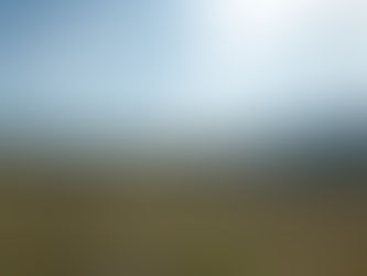 EARTHCHAT: Strathbogie Shire climate action plan & more