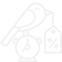 earlybird icon.png