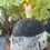 Miniatyrbilde: Love Lives Here - Raku Cottage