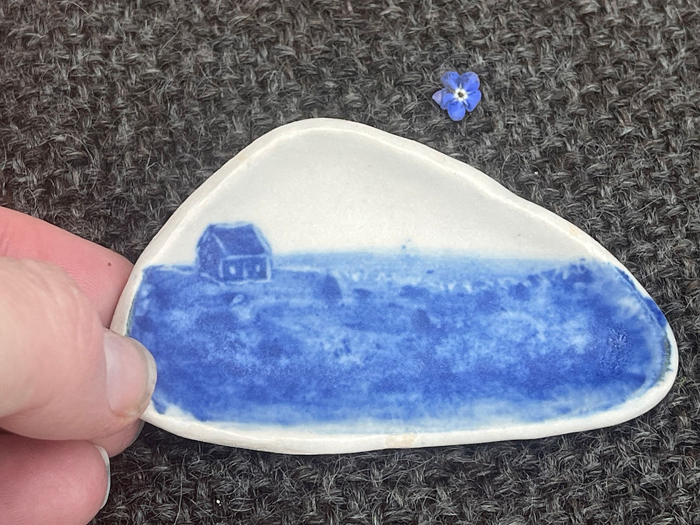 Miniatura: Cottage by the Sea